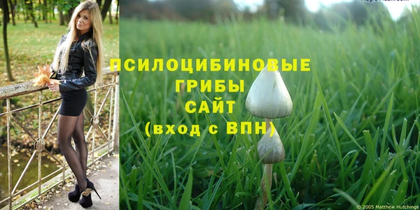 винт Богородицк