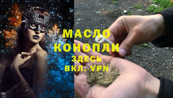 индика Галич